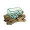 Rectangular Glass On Driftwood Decorative Bowl/Vase/Terrarium Succulent Planter